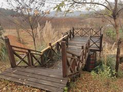 -浮山风景名胜区