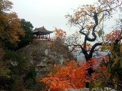 -北京鹫峰国家森林公园