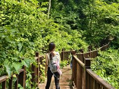 -天女山森林公园