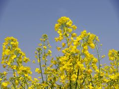 -苏州吴中太湖旅游区