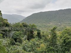 -呀诺达热带雨林