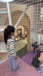 -奈尔宝·儿童乐园·亲子餐厅(华采天地店)