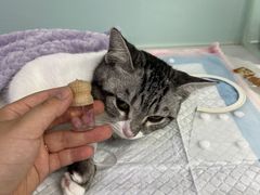 -达爱动物医院·犬猫分区·CT·复杂眼科(远洋山水分院)