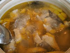 泉水鲜鸡汤-先机泉水鸡汤(南山老君洞店)