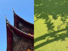 -三垟湿地