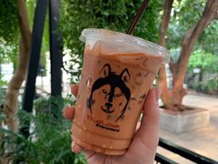 -TrueLove @ Neverland (Husky Cafe)