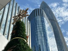 -深圳湾万象城(南山店)