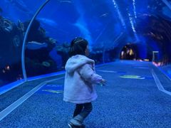 -成都浩海立方海洋公园