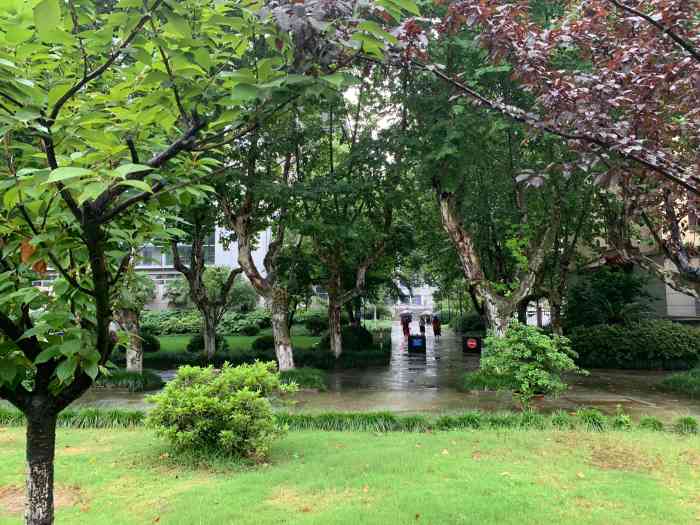浙江师范大学杭州幼儿师范学院 大众点评