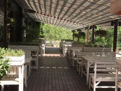 -Local泰莲庭(虹鳟鱼店)