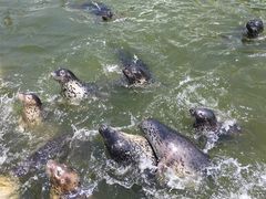 -华夏文旅海洋公园