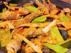 -老雒阳面馆·水席(高新区店)
