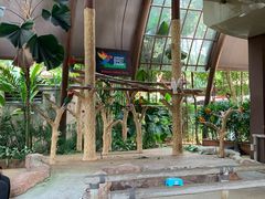 -新加坡飞禽公园