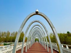 -大兴滨河森林公园