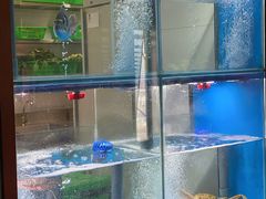 水产区-山葵家·创意料理(宁波来福士店)