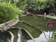 -成都市活水公园