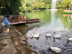 -蝴蝶泉公园