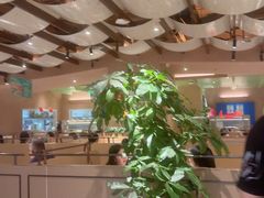 -Aqua Oasis 水天堂(相城天虹商场店)
