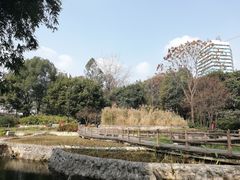 -成都市活水公园