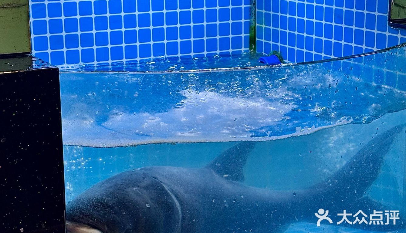 到底是什么鱼 能让我怒炫两碗饭!