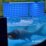 到底是什么鱼 能让我怒炫两碗饭!