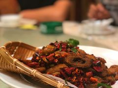 -丁老爷子苏香圆