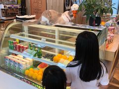 -东方艺术博物馆