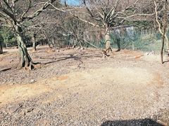 -宁波野生动物园