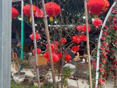 -姥家大锅台水库渔家