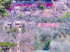 -妙峰山风景名胜区