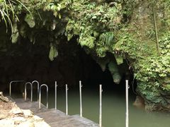 -怀托摩萤火虫洞
