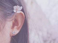 -上海南浦大桥长途旅游客运站