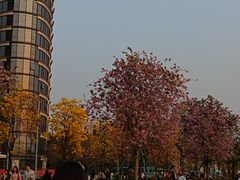 -洲头咀公园
