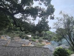 -杨家堂村