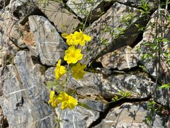 -杭州桐庐康莱德酒店西餐厅-舍
