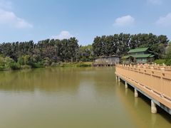 -海上田园