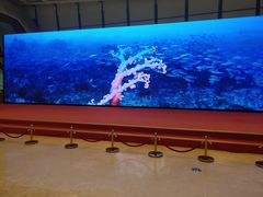 -贝林大翅鲸简餐厅(国家海洋博物馆店)