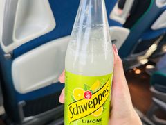 -米兰-马尔彭萨机场