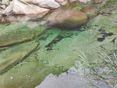-无染寺