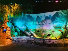 -沈阳海洋探索中心