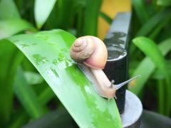 -瑰丽酒店·海吧·天际下午茶·现场DJ·天台酒吧