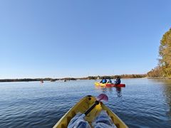 -上海海湾国家森林公园