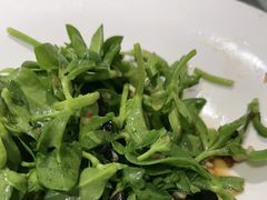 -和源祥·日照菜扛把子(万平口一店)