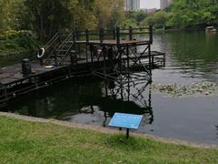 -晓港公园
