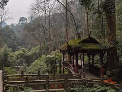 -青城山