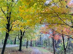 -长白岛森林公园