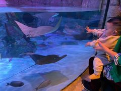 -沈阳海洋探索中心