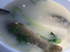 丝瓜鱼头汤-漓江又一軒·广西菜·桂林米粉(梅林店)