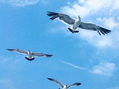 -海驴岛(荣成市)