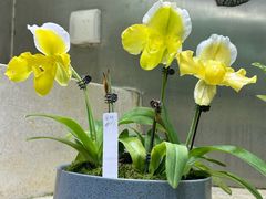-云溪植物园